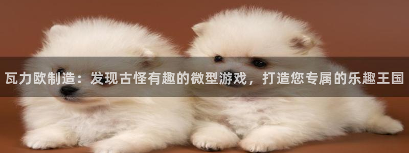 彩神大发云：瓦力欧制造：发现古怪有趣的微型游戏，打造您专属的乐趣王国
