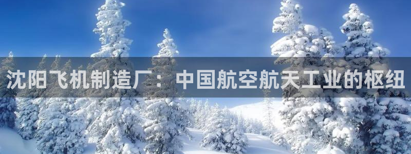 彩神vll官网在线登录：沈阳飞机制造厂：中国航空航天工业的枢纽