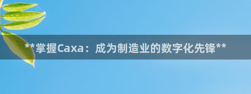 所有彩神购买首页都一样吗：**掌握Caxa：成为制造业的数字化先锋**