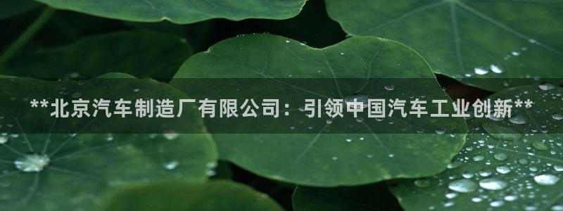 彩神viii下载安卓：**北京汽车制造厂有限公司：引领中国汽车工业创新**