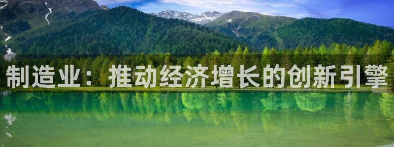 在彩神网输了六万多怎么拿回来：制造业：推动经济增长的创新引擎
