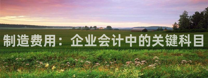 彩神合法吗.是国家认可的吗：制造费用：企业会计中的关键科目