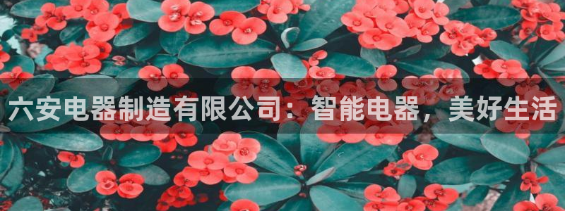 彩神vll购彩大厅大众：六安电器制造有限公司：智能电器，美好生活