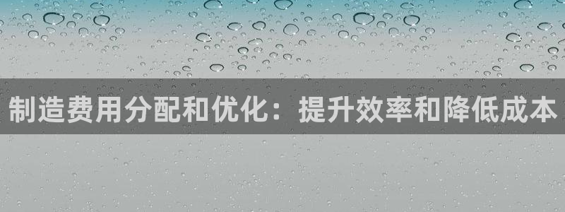 彩神velcome购彩大厅：制造费用分配和优化：提升效率和降