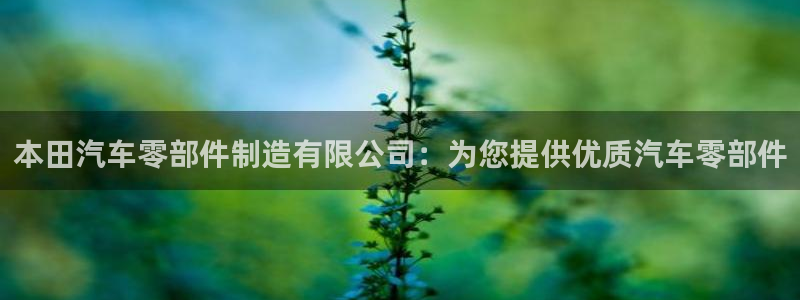 彩神网合法吗：本田汽车零部件制造有限公司：为您提供优质汽车零部件