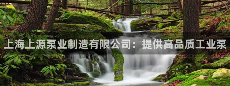 彩神8官网500：上海上源泵业制造有限公司：提供高品质工业泵