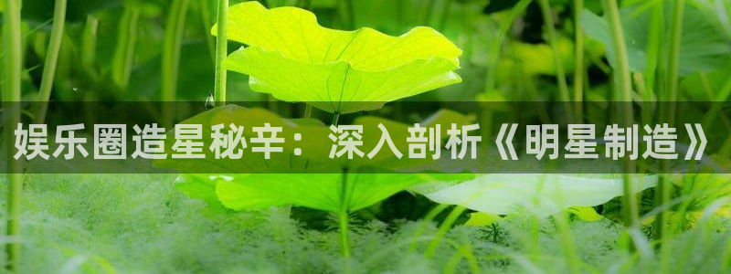 彩神是真的吗：娱乐圈造星秘辛：深入剖析《明星制造》