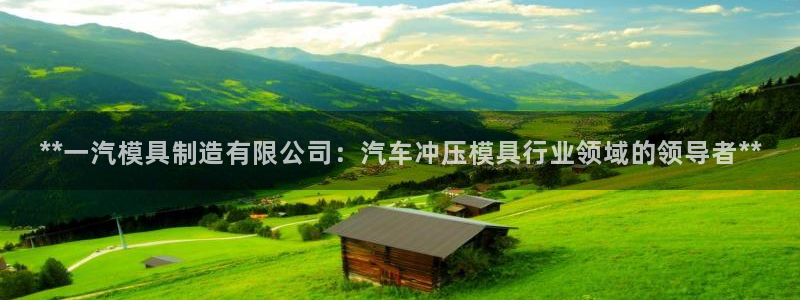 彩神vip购彩大厅：**一汽模具制造有限公司：汽车冲压模具行