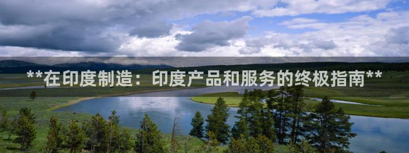 彩神VII官方版：**在印度制造：印度产品和服务的终极指南**