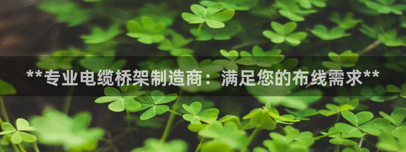 彩神8app官方下载：**专业电缆桥架制造商：满足您的布线需