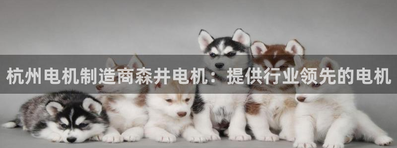 彩神 好 平台：杭州电机制造商森井电机：提供行业领先的电机