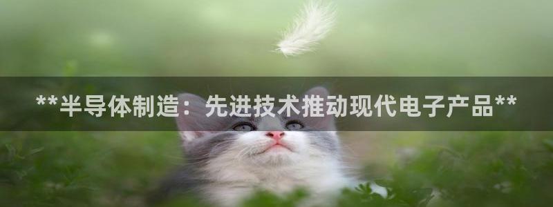 彩神vlll官方网：**半导体制造：先进技术推动现代电子产品**