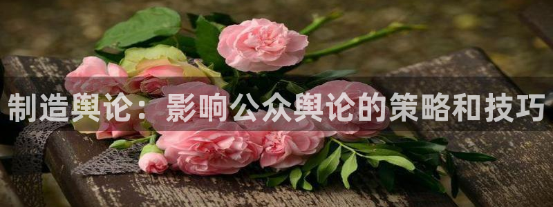 彩神v秘聊号码