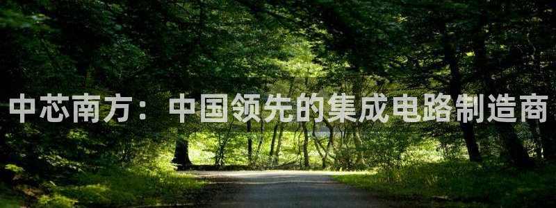 彩神平台：中芯南方：中国领先的集成电路制造商