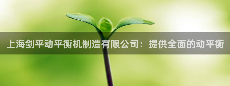 彩神购彩-购彩大厅入口：上海剑平动平衡机制造有限公司：提供全面的动平衡