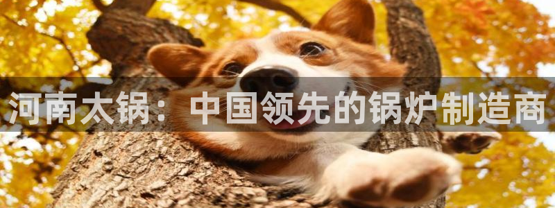 彩神vll购彩大厅：河南太锅：中国领先的锅炉制造商