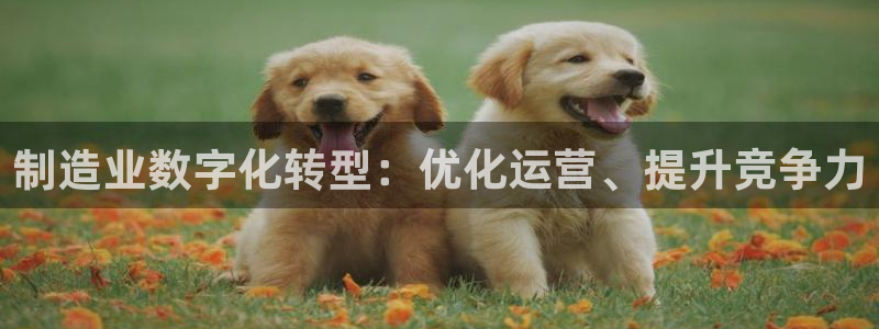 彩神赢了钱登录不上去：制造业数字化转型：优化运营、提升竞争力