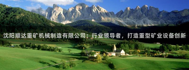 彩神v8购彩大厅登：沈阳顺达重矿机械制造有限公司：行业领导者，打造重型矿业设备创新