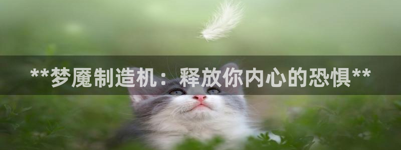 彩神vll购彩大厅：**梦魇制造机：释放你内心的恐惧**