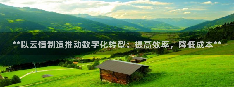 彩神网能赚钱是怎么回事：**以云恒制造推动数字化转型：提高效率，降低成本**