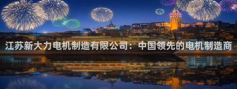彩神平台：江苏新大力电机制造有限公司：中国领先的电机制造商