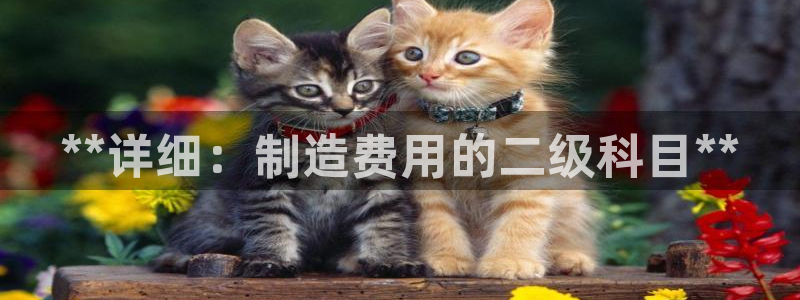 彩神赢钱了吗：**详细：制造费用的二级科目**
