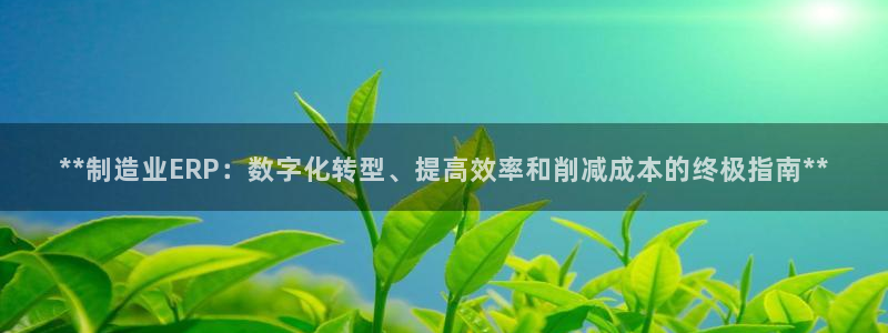 大发彩神官网下载：**制造业ERP：数字化转型、提高效率和削减成本的终极指南**