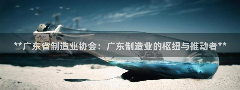 彩神购彩-购彩大厅入口娱乐首选：**广东省制造业协会：广东制