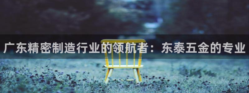 彩神v争霸是啥：广东精密制造行业的领航者：东泰五金的专业