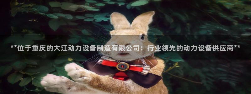彩神vll首页：**位于重庆的大江动力设备制造有限公司：行业领先的动力设备供应商**