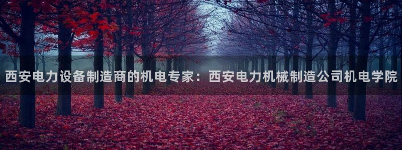 彩神VII购彩中心：西安电力设备制造商的机电专家：西安电力机械制造公司机电学院