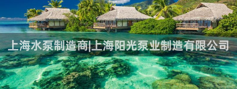 彩神争霸老平台：上海水泵制造商|上海阳光泵业制造有限公司