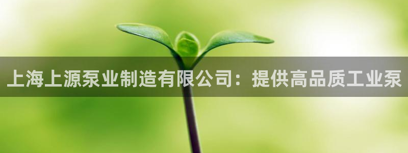 彩神网可以赚钱是真的吗
