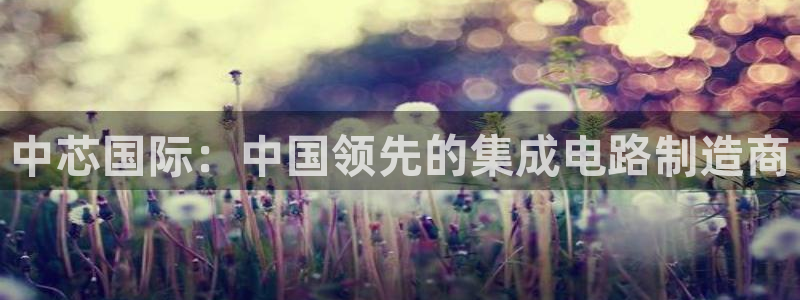彩神v8是一个什么平台啊：中芯国际：中国领先的集成电路制造商