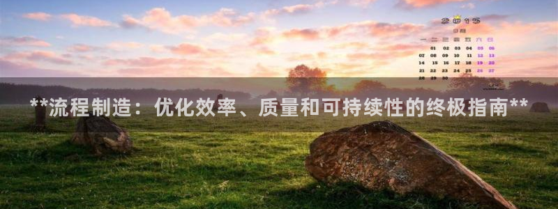 彩神购彩-购彩大厅入口老版：**流程制造：优化效率、质量和可持续性的终极指南**