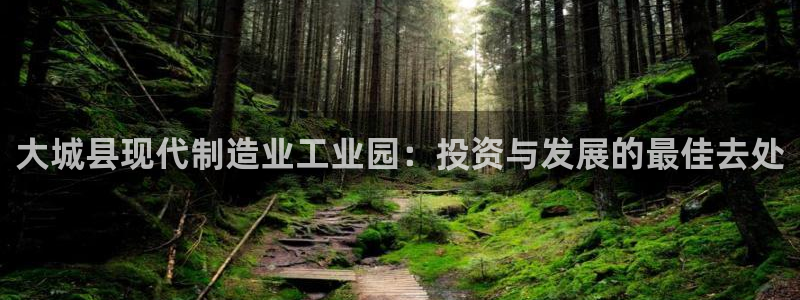 彩神正规吗：大城县现代制造业工业园：投资与发展的最佳去处
