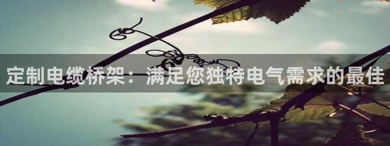 彩神官方邀请码是多少：定制电缆桥架：满足您独特电气需求的最佳