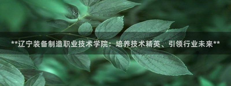 彩神ix平台：**辽宁装备制造职业技术学院：培养技术精英、引领行业未来**