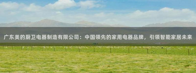 彩神合法吗.是国家认可的吗：广东美的厨卫电器制造有限公司：中