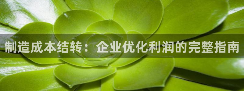 彩神vlll游戏特色：制造成本结转：企业优化利润的完整指南