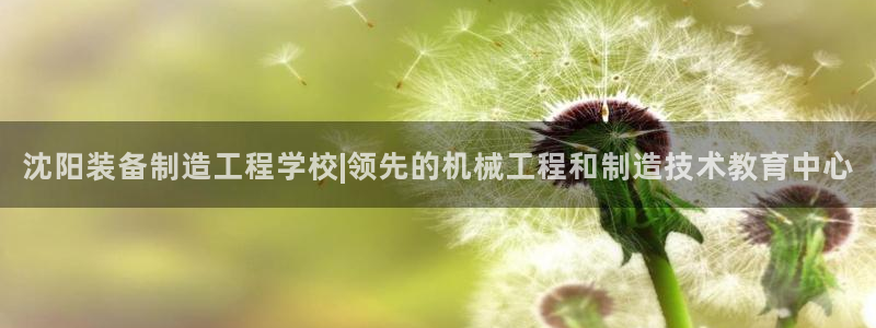彩神iv争霸购彩大厅：沈阳装备制造工程学校|领先的机械工程和