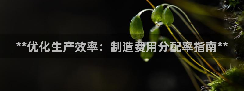 彩神v8手机客户端下载：**优化生产效率：制造费用分配率指南