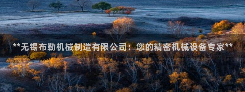 天天赢彩神：**无锡布勒机械制造有限公司：您的精密机械设备专