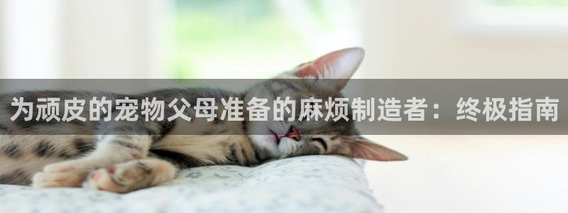 彩神app赚钱是真是假：为顽皮的宠物父母准备的麻烦制造者：终