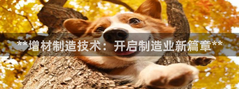 彩神网正规吗：**增材制造技术：开启制造业新篇章**