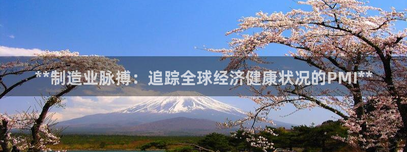 彩神购彩-购彩大厅入口娱乐首选：**制造业脉搏：追踪全球经济
