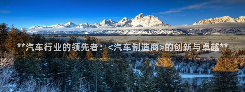 彩神v8几个版本：**汽车行业的领先者：<汽车制造商>的创新与卓越**