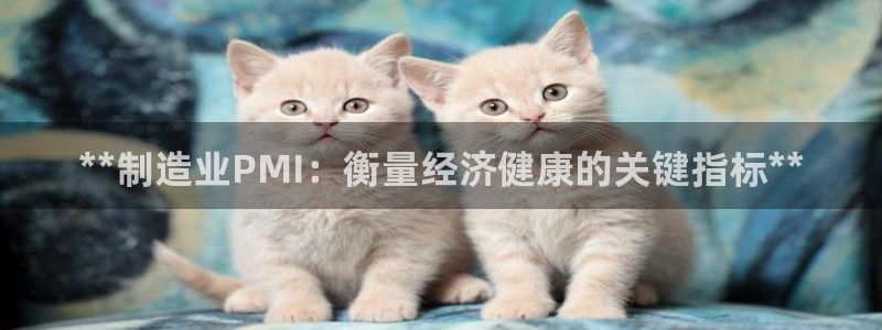 彩神v8平台正规吗：**制造业PMI：衡量经济健康的关键指标
