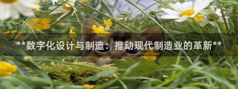 彩神是正规平台吗：**数字化设计与制造：推动现代制造业的革新**