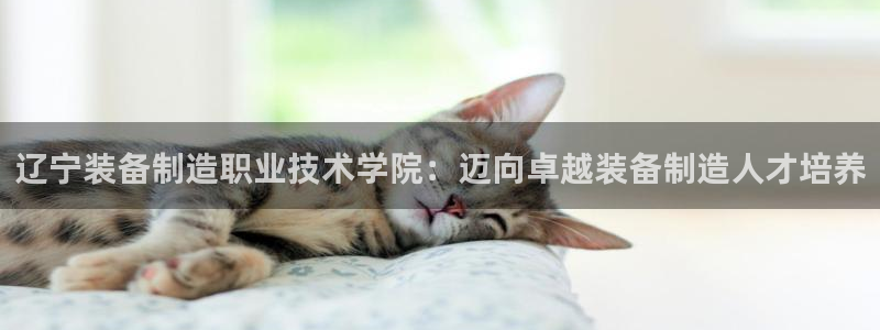 彩神vip购彩大厅在哪：辽宁装备制造职业技术学院：迈向卓越装